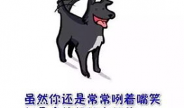 狗狗感人漫画,忠诚与爱的永恒画卷